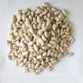 Wholesale Low Price Chinese Natural  Baishake White Kidney Beans